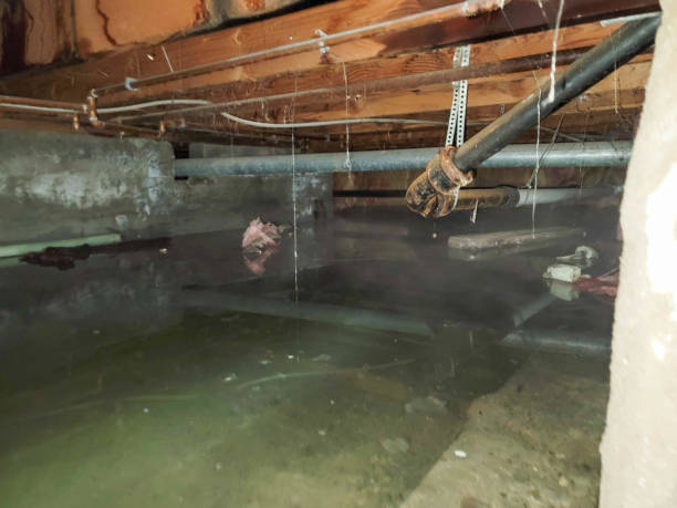 Best 24/7 water damage repair  in Youngstown, NY