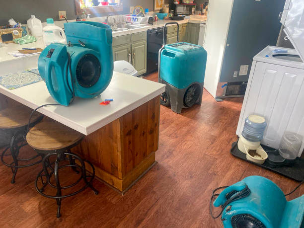 Best Water damage contractors near me  in Youngstown, NY