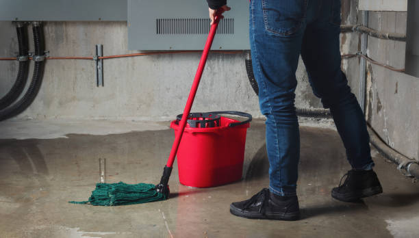 Best Water damage restoration near me  in Youngstown, NY