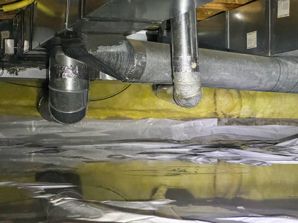 Best Carpet water damage restoration  in Youngstown, NY