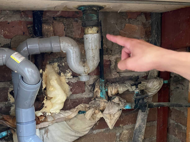 Best Local water damage restoration  in Youngstown, NY