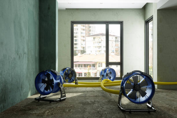 Best Professional water damage repair  in Youngstown, NY